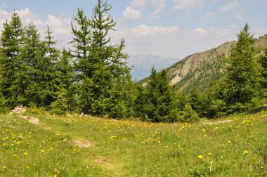 Dağlar. Alpler. Dağların görünümü .