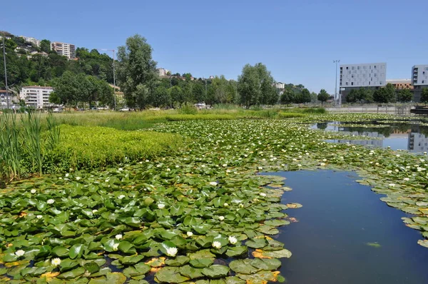 Jakiś Park Lyonie Francja — Zdjęcie stockowe