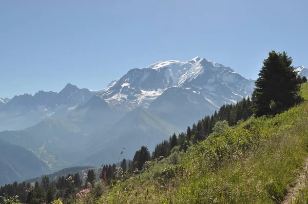 Вид Горы Альпы — стоковое фото