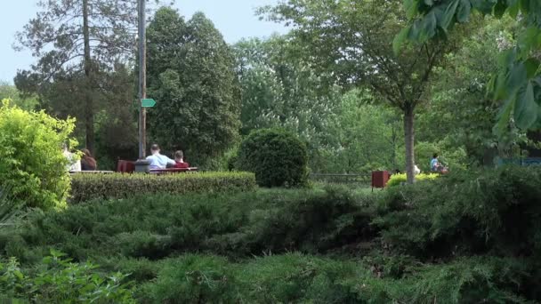 Mei 2018 Recreatie Voor Mensen Een Groene Stadspark Het Voorjaar — Stockvideo