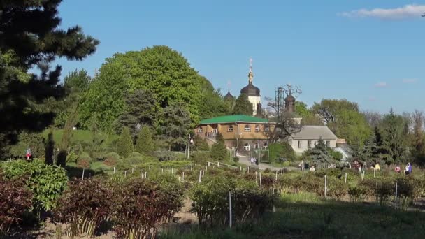 Jardín Botánico Kiev Llamado Grishko Primavera Día Soleado Vista Iglesia — Vídeo de stock