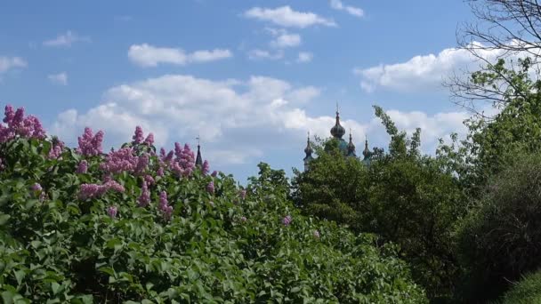 Pohled Hory Kopule Kostel Svatého Ondřeje Kyjevě Kvetoucí Šeřík Pohled — Stock video