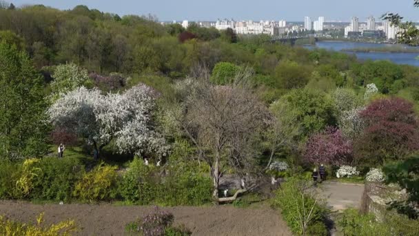 Pessoas Passeiam Primavera Jardim Botânico Florescente Kiev — Vídeo de Stock