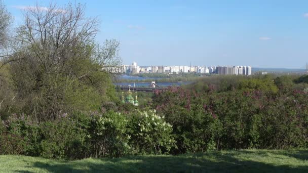 Vista Jardim Botânico Kiev Durante Estação Floração Lilás Primavera — Vídeo de Stock