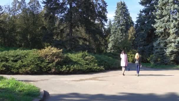 Old Park Coniferous Trees Spring Sunny Day People Stroll Park — Stock Video