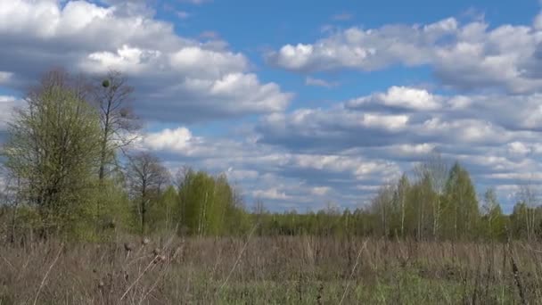 Весенний Пейзаж Полем Облачно — стоковое видео