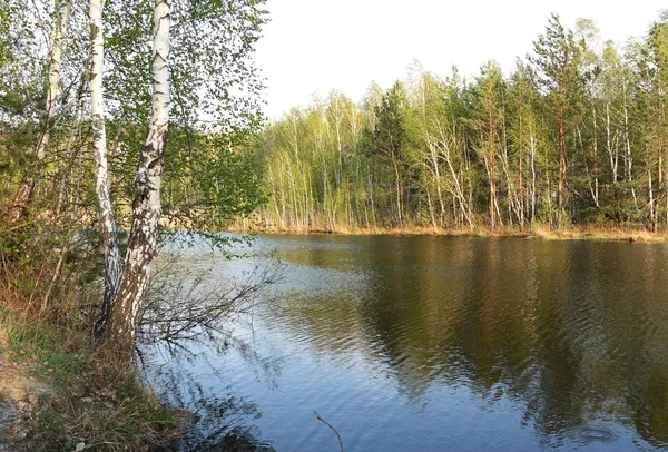 Bahar, yatay bir göl. Güneşli akşam.
