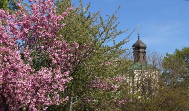 Ortodoks Kilisesi Paskalya bahar günü içinde arka planı çiçek açan ağaç
