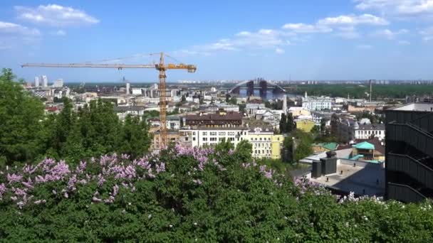 Blommande Syren Mot Bakgrund Den Staden Kiev Den Historiska Distriktet — Stockvideo