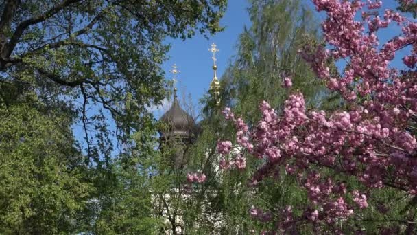 Orthodoxe tempel omringd door bloeiende bomen op Paasdag — Stockvideo