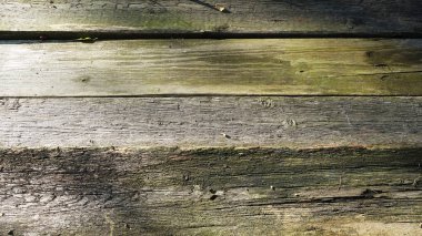 Eski boyanmamış panoları, Güneş tarafından aydınlatılmış arka plan