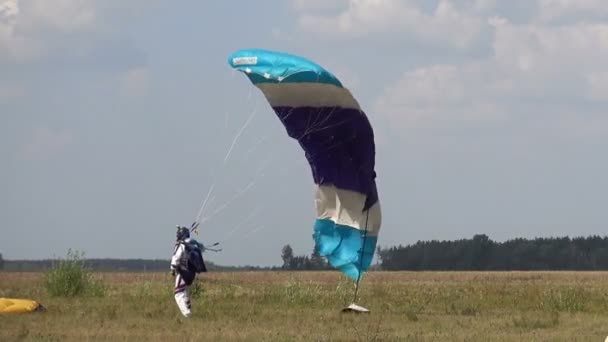 フィールドに着陸した落下傘兵 彼は彼の僚友を迎える — ストック動画