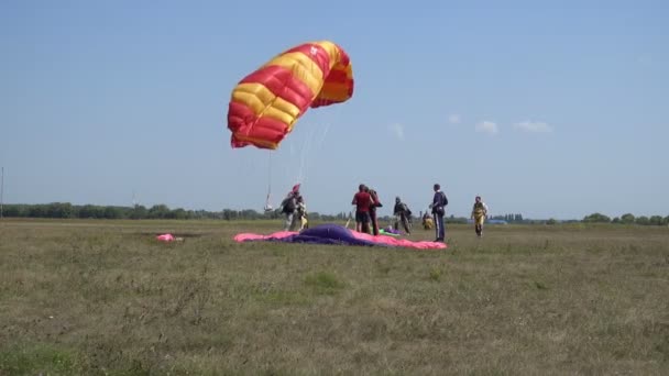 乌克兰 2018年8月26日 在一个夏日晴朗的日子里 一群伞兵 Amators 在田野上着陆 — 图库视频影像