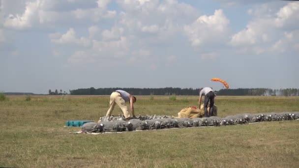 Dos jóvenes paracaidistas recogen paracaídas en el campo de aviación en un soleado día de verano — Vídeo de stock