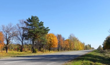Bir karayolu ile sonbahar günü manzara