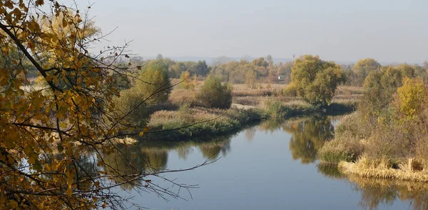 Jesienny krajobraz z rzeką i oddział — Zdjęcie stockowe
