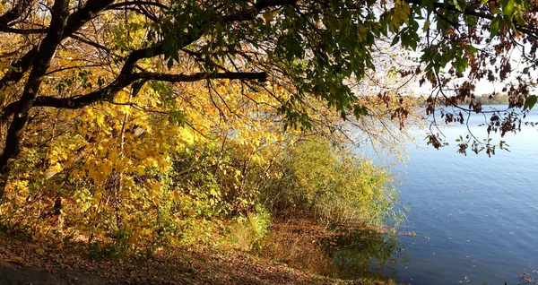 Árboles de otoño sobre el agua — Foto de Stock