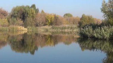 Orman ve nehir manzara. Altın Sonbahar