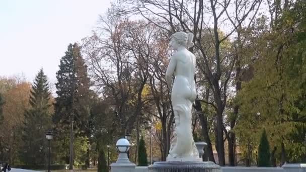 Винтажный парк с фонтаном осенью . — стоковое видео