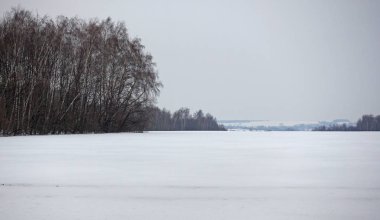 Kış manzarası kar alanı hem de orman ile
