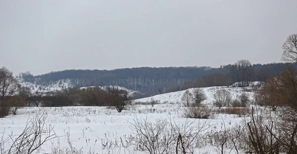 Paisaje invernal con colinas y bosque — Foto de Stock