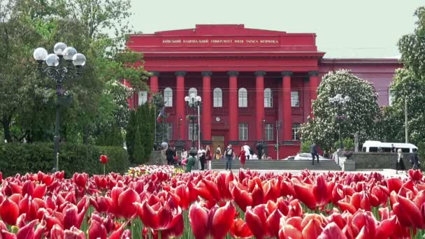 A fachada do edifício vermelho da Universidade de Kiev e canteiro de flores . — Vídeo de Stock