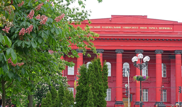 Цветущий каштан на фоне фасада Киевского университета им. Шевченко
