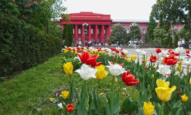 Baharda Kiev Ulusal Shevchenko Üniversitesi Binası