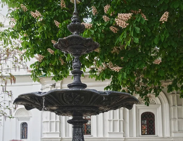 Ancienne fontaine et fleurs de châtaignier à Kiev-Pechersk Lavra — Photo