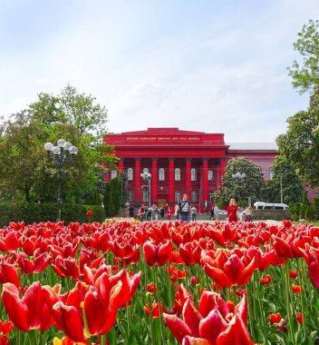 Bahar gününde Kiev Üniversitesi Türü.