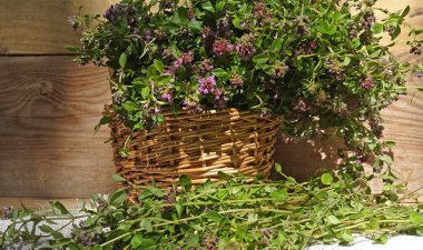 Sepet ve masada kekmeli çiçekler. Kokulu kekici ot hasat.