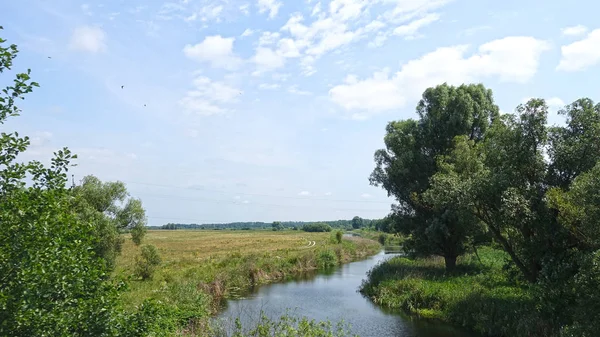Mała rzeka na wsi, letni dzień — Zdjęcie stockowe