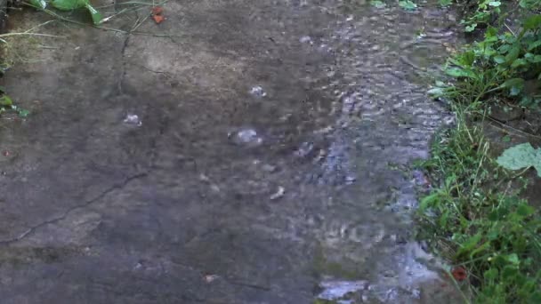 Lluvia. Las gotas de lluvia forman burbujas — Vídeos de Stock