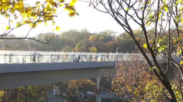 Most Dla Pieszych Khreshchaty Park Wzgórza Władimira Kijowie Jesienią — Wideo stockowe