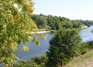Sonbaharda kıyıda küçük bir nehir ve orman manzarası