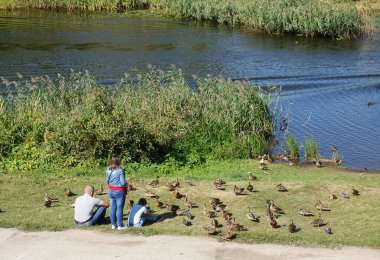 Aile: Baba, anne ve çocuk bir yaz günü nehir kıyısında vahşi ördekleri izliyorlar.