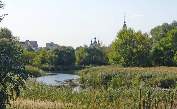 Tsna Nehri Nden Tambov Mimarisine Bir Yaz Günü Görüntüsü — Stok fotoğraf