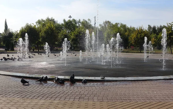 Tambov Şehrinin Zafer Parkı Nda Bir Yaz Günü Çeşme — Stok fotoğraf