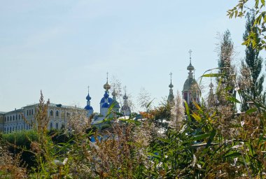 Tambov Ortodoks kiliseleri, Tsna 'nın manzarası