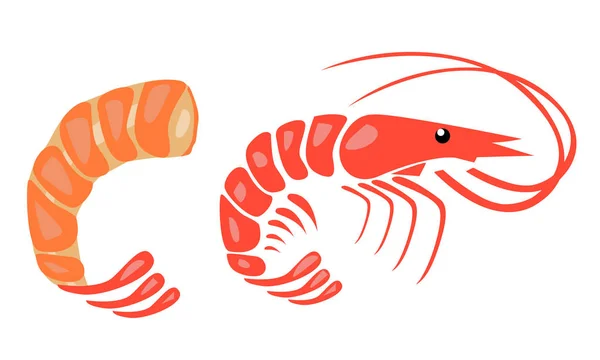 Shrimp Vector Illustration Auf Weiß — Stockvektor