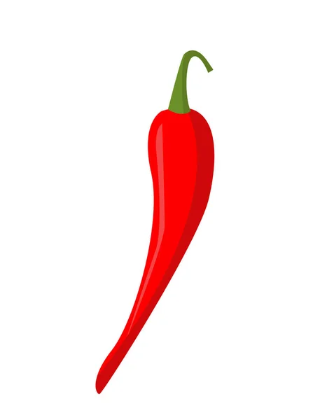 Red Chili Pepper Vector — Stock Vector