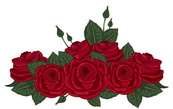 Rote Rosen Vektor Illustration auf weiß — Stockvektor