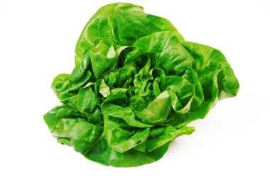 Beyaz arka planda taze yeşil salata 