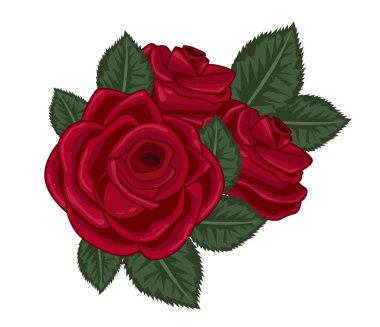 Beyaz üzerine gül vektör illüstrasyonu