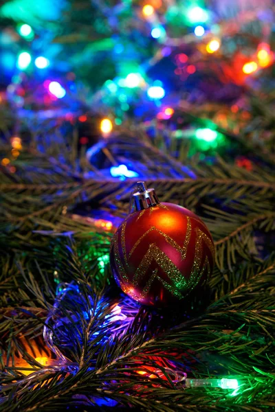 Red Golden Ball Lies Branch Tree Multicolored Lights Congratulations New — Stock Photo, Image