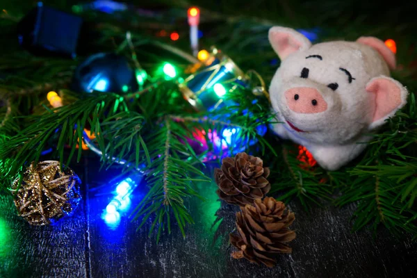 Maiale Epoca Simbolo Dell Anno Accanto Albero Coni Giocattoli Luci — Foto Stock