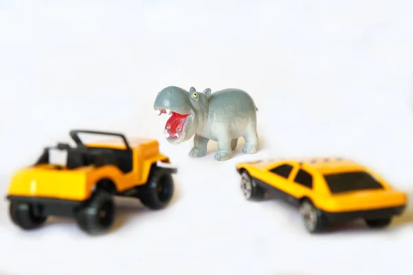 Carros Perto Hipopótamo Perigo Estrada Enquanto Viaja Safari — Fotografia de Stock