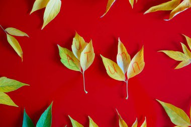 Sarı sonbahar bileşimi sezon adı ile bırakır. Sonbahar ruh hali.              