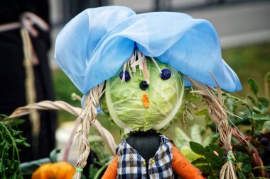 Lahana ve havuç kız çiftçiler yaptı. Çiftlikte sonbaharda hasat adil gösterilen                   