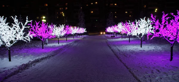 Святкові Світлодіодні Ліхтарі Гілках Дерев Зимовому Нічному Місті Зимові Свята — стокове фото